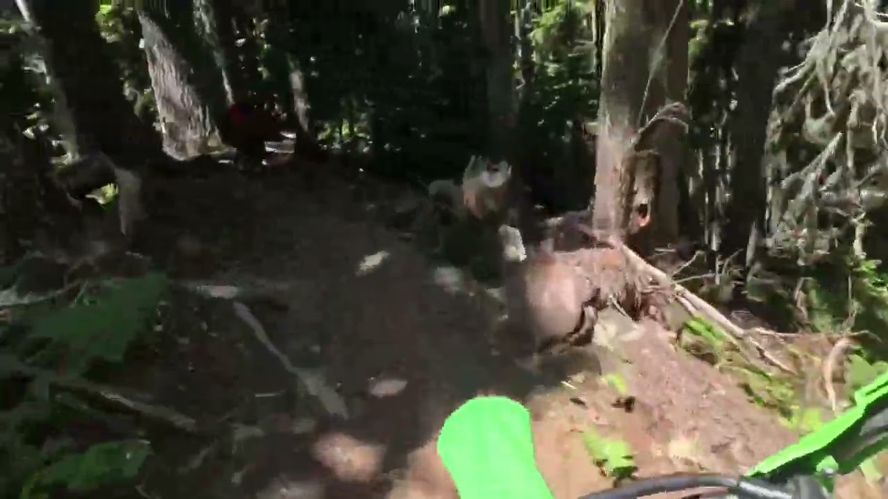 Randle Washington Blue Lake trails 2024