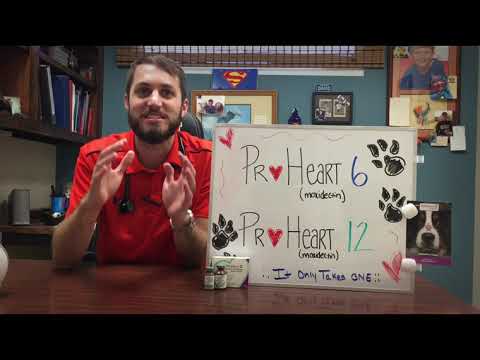 Видео: ProHeart 6 зүрхний шархнаас урьдчилан сэргийлэх тарилга гэж юу вэ, аюулгүй юу?