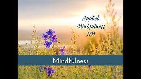 Mindfulness  Core Principle