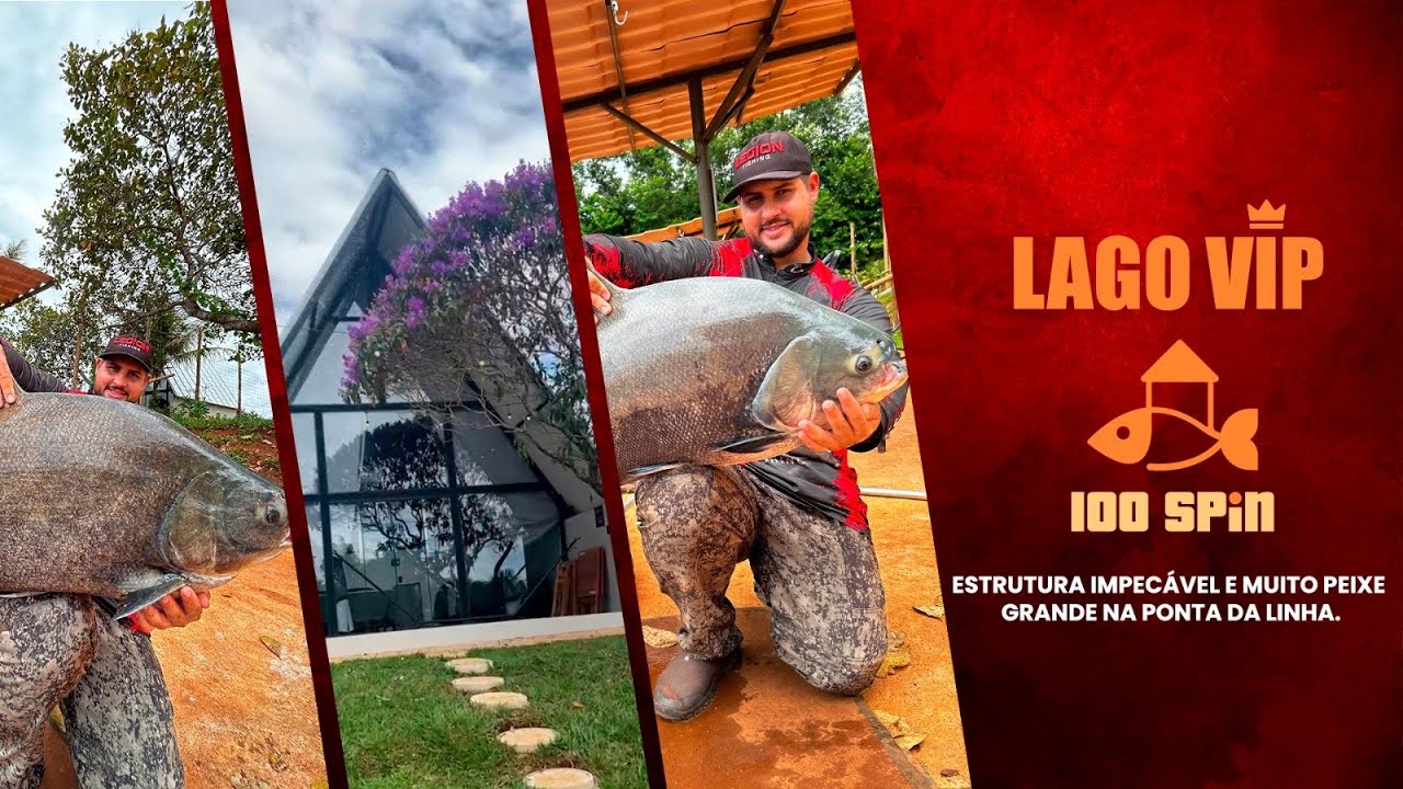 LAGO VIP 100SPIN - TODA ESTRUTURA IMPECÁVEL E MUITO PEIXE GRANDE NA ...