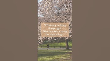 Efficiency vs. Effectiveness
