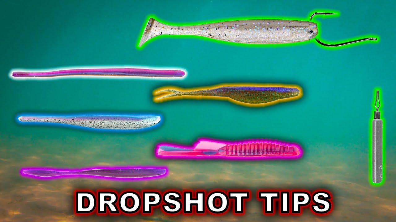 Dropshot Fishing For Bass - Beginner To Advanced Tricks