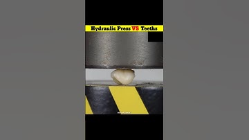 Hydraulic Press vs Teeths💥⁉️ || Shark🦈 vs Wolf🐺 vs Human🤵 Teeth || #shortsfeed #trending #tamil