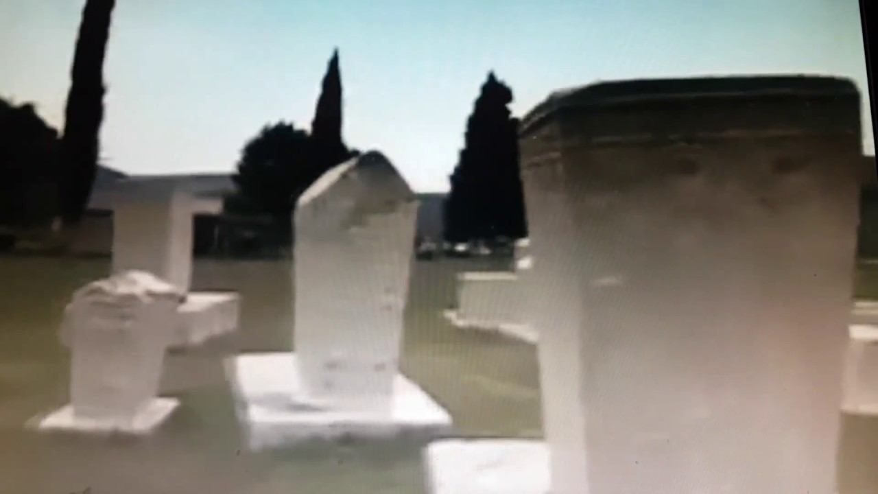 Necropolis of Radimlja Bosnia