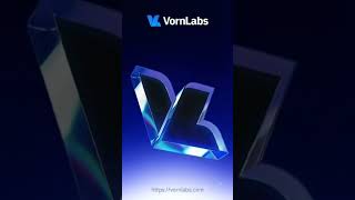 ❓What is VornLabs’ role positioning?✨To build a unified portal that supports access to both th