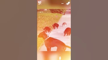 One wrong move, and you