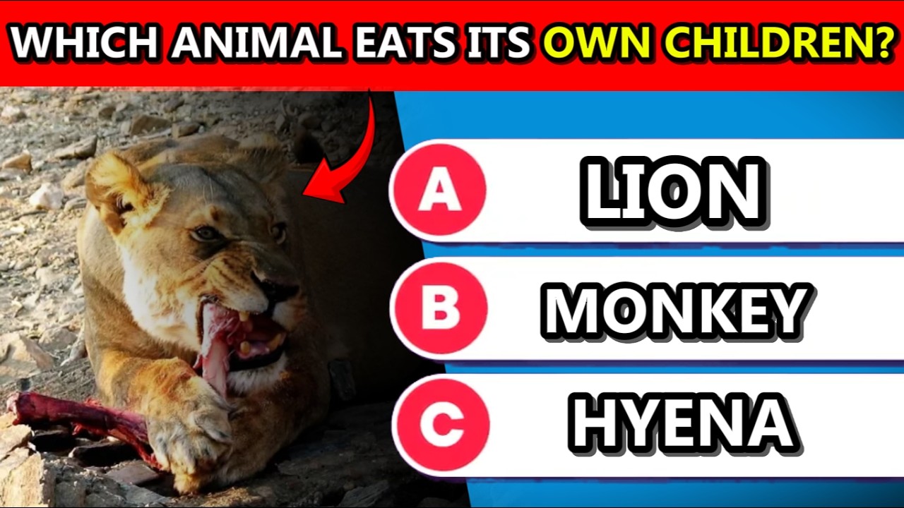 Can You Solve All The GENERAL KNOWLEDGE QUESTIONS?⚡✅ / 80 General Knowledge Questions