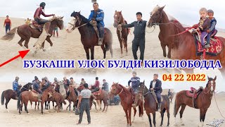 картинка: БУГУНГИ БУЗКАШИ УЛОК 04 11 2022 НОХИЯИ ШАХРИТУС ДИХАИ КИЗИЛОБОДДА БУЛИБ УТДИ @Qizilobod_Tv