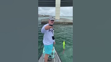 Thumbnail of Strongest Ice Rod Ever #shorts