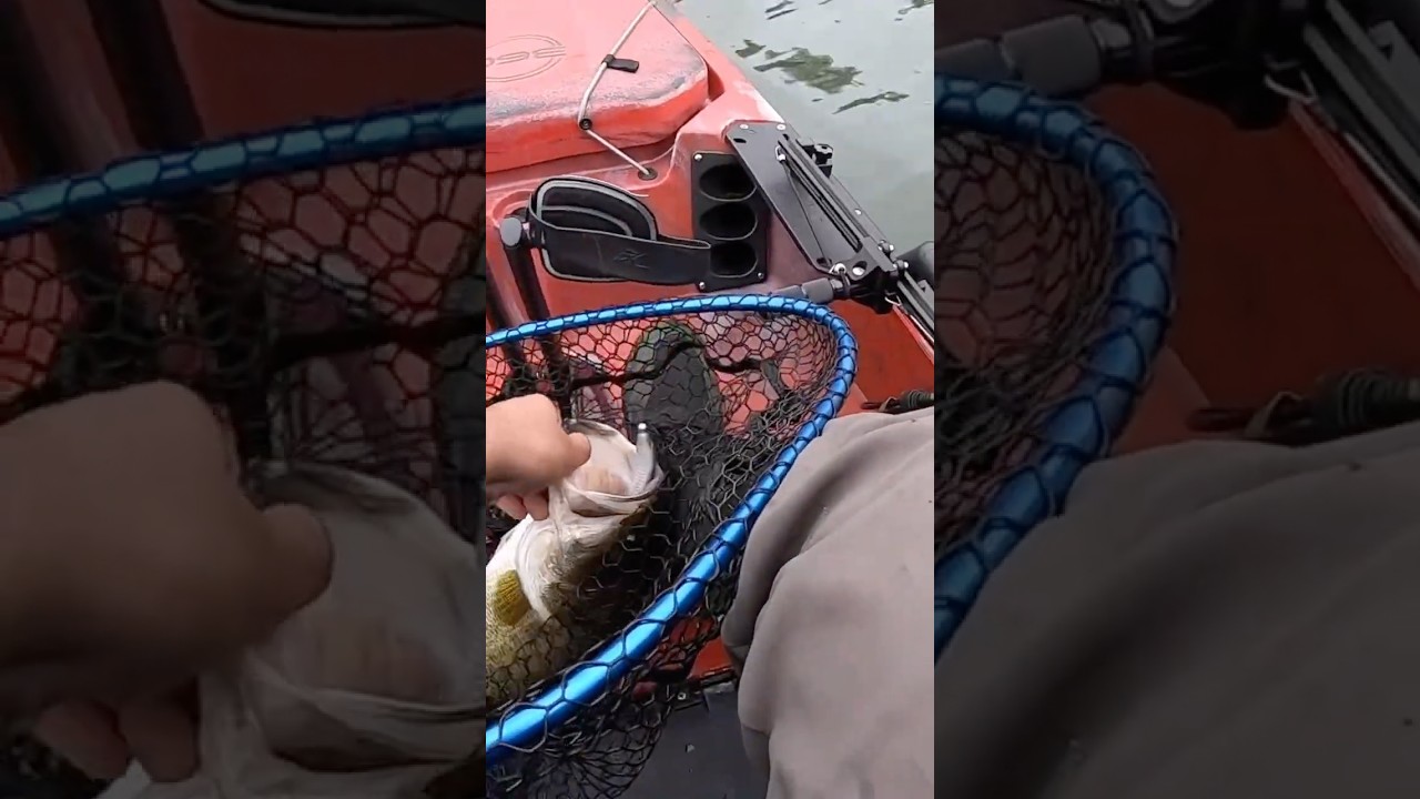 Blind casting a jig head minnow can be just as effective as scoping individual fish 