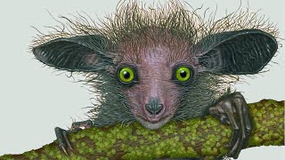 Aye-aye (Frankenstein's Monster of Evolution) by 3 Minutes Nature 2,368 views 2 years ago 3 minutes