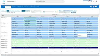 SAP FORECASTING AND SCHEDULING