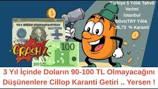 Guççük Yatırımcı Kararını Kendi Verecek  Döviz Cinsi Yatırım  mı TL Cinsi Yatırım mı Kumar Hintli
