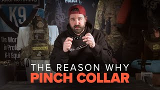 The Truth About Pinch Collars in Dog Training