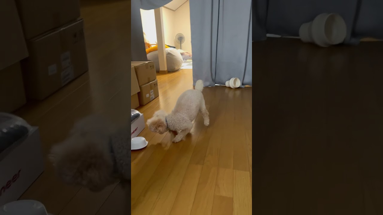 久しぶりのホッケー🏑 #ﾌﾗｲﾃﾞｨ・ﾁｬｲﾅﾀｳﾝ#泰葉#FridayChinatown