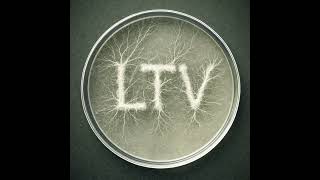 Spore Sized: Fool’s Webcap: The Perfect Poison with a Hidden Purpose