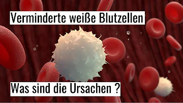 Was kann man gegen zu wenig weiße Blutkörperchen tun?