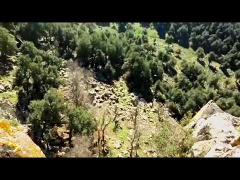 المشروحة سوق اهراس