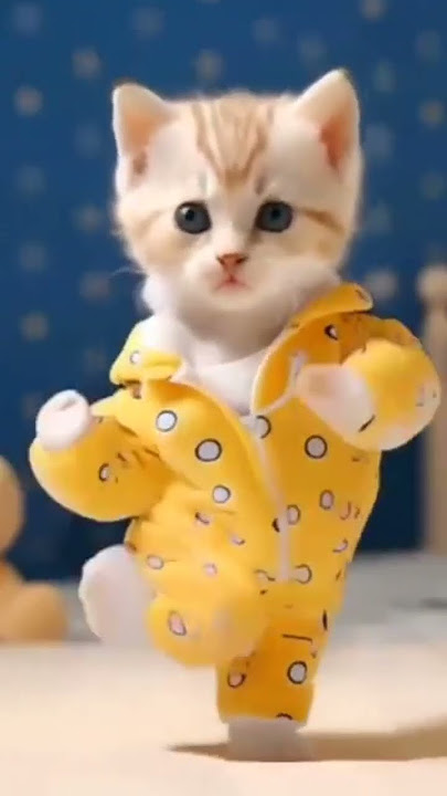 joged kucing tung tin tung tin tang tin tung #animals #viralshorts #fypシ゚viral