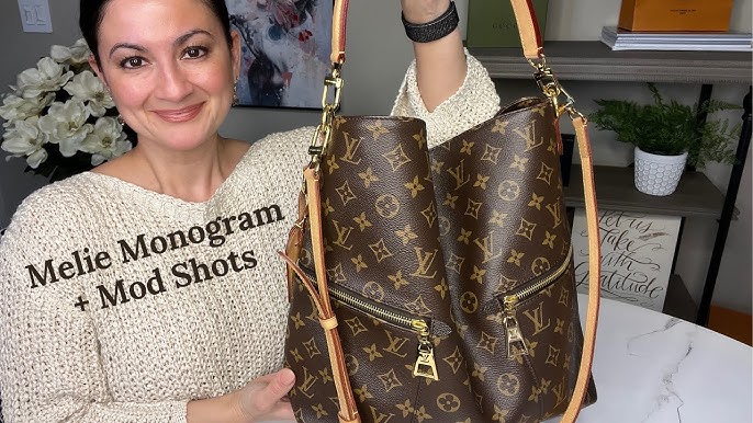 LOUIS VUITTON Melie Monogram Canvas Hobo Bag Brown