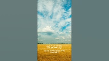 سورة الشرح بصوت جميل #quran #المصحف #لايك #اكسبلور #دويتو