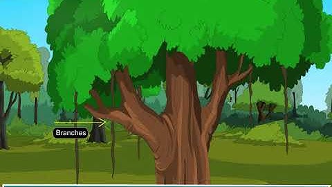 Incredible Science Class 2-Chapter 1-Page Number 7