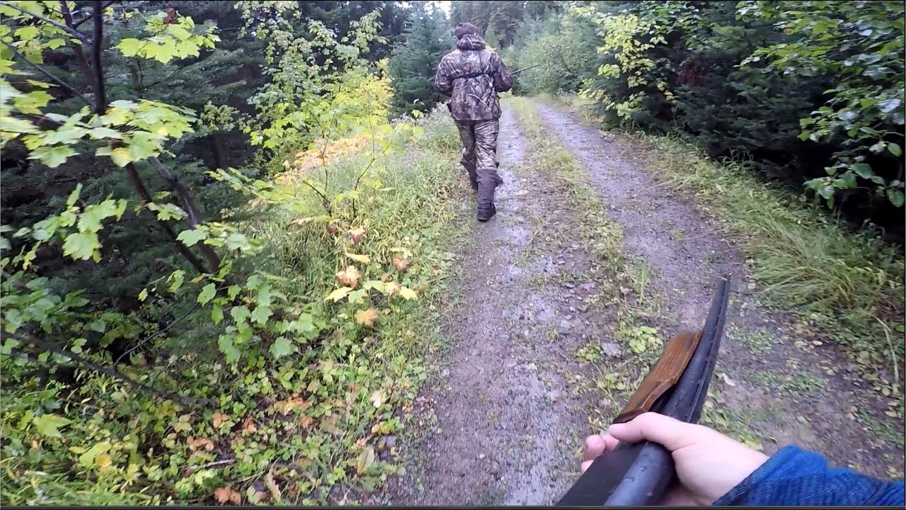 GROUSE HUNTING with SHOTGUNS! YouTube