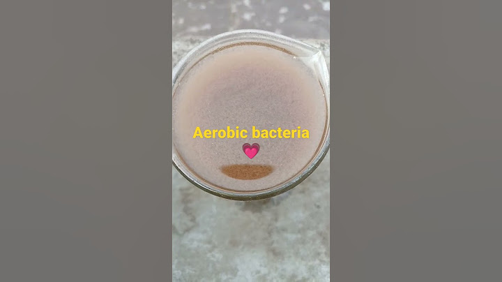 Wastewater treatment plant/#aerobicbioculture/#ytshorts/#shorts/#sumitstudytalks.