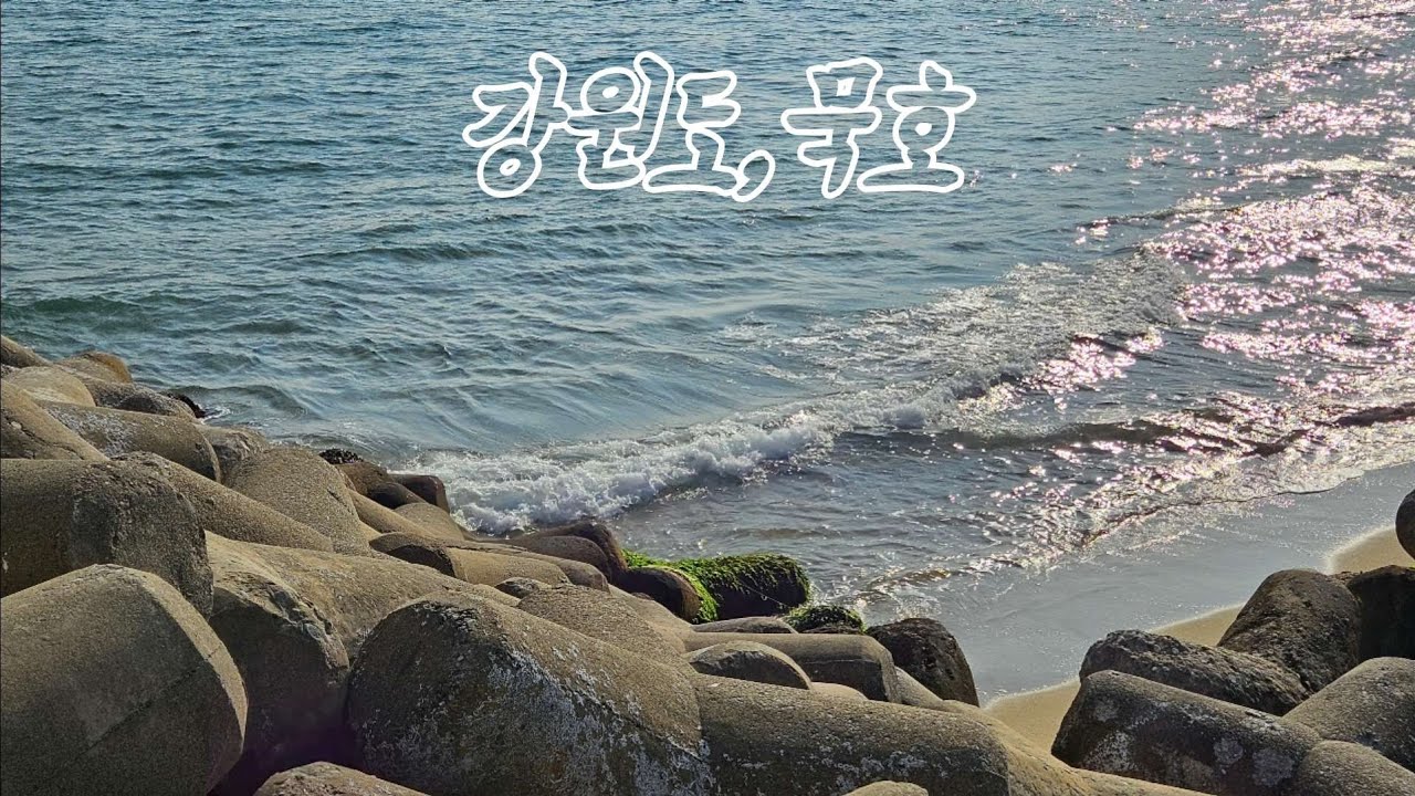 🇰🇷 국내 여행 VLOG/ 1박2일 알짜배기 묵호여행 코스👍 