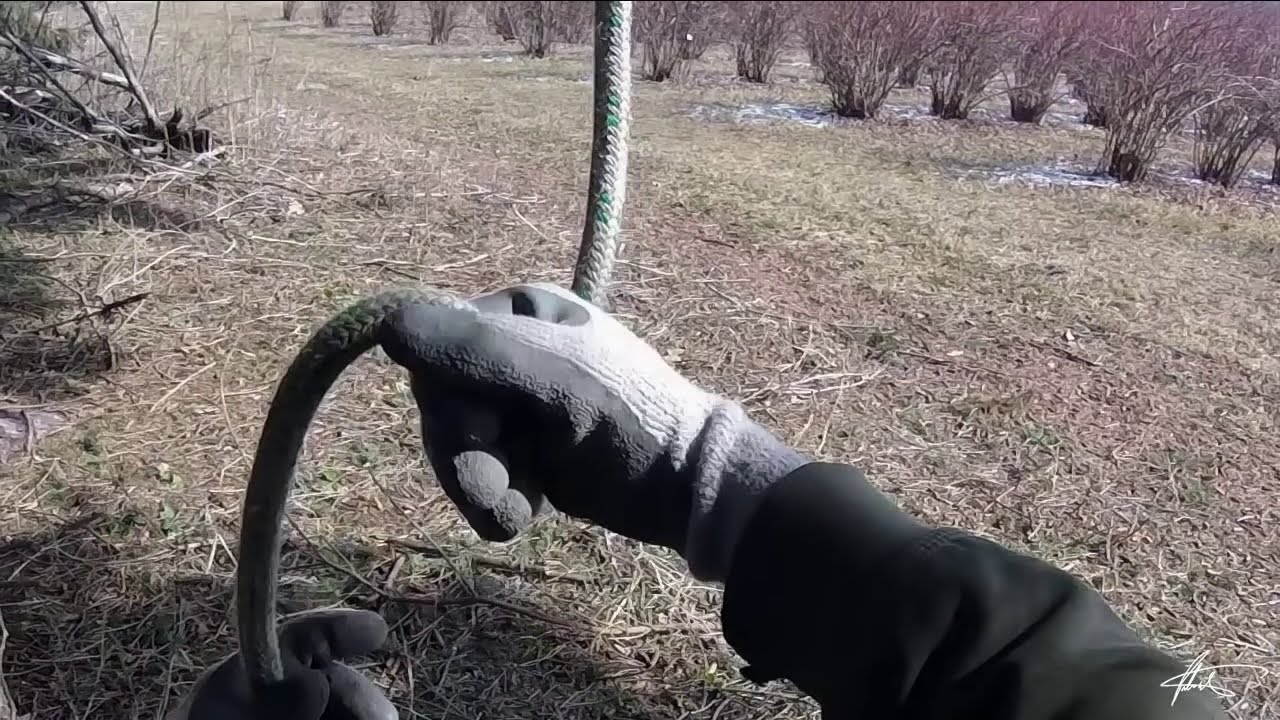 How to Send Up a Saw and a Rope  |  Basic Arborist Ground Worker Skills