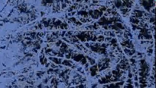 A Video for the song "Needle Witch" By: FIEND. Off Of their Split 7...