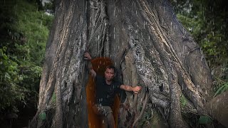 Building Complete and Warm Survival Shelter In The Trunk , Fireplace With Clay , Crab Trap and Cook by Primitive Technology Idea 4,948,454 views 1 year ago 32 minutes