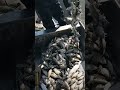 TOP videos fishing