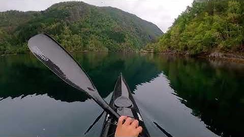 Indlysende indlysende klinisk ledsage 1000971