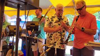 Zip Zip Polka as played by 13 Musicians St. Adelbert's Church Picnic, Rosholt, WI.