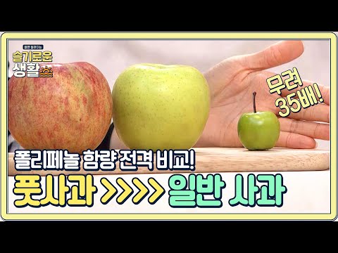 풋사과가 일반 사과보다 <strong>폴리페놀</strong> 함량이 무려 35배 높다!#슬기로운생활 | wisereview EP.4