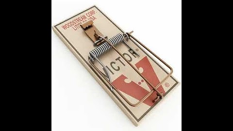 3D Model of Mouse Trap Review