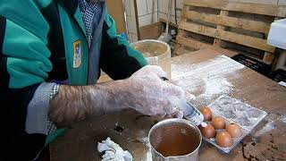 Huevo de Gallina Falso Fabricado en Plastico Incitadores de Puesta