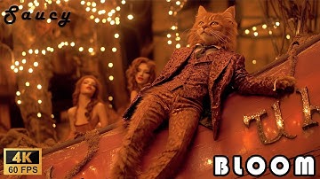 Saucy - Bloom | Official 4k + 60fps Music Video | AI Visuals
