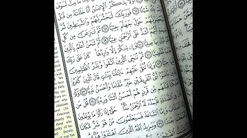 أواخر سورة مريم بصوت خاشع | عبد الرحمن مسعد| تلاوة هادئة ومؤثرة