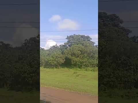 Maali Bareedni Akkanaa Duet Oromo Oromocomedy Food