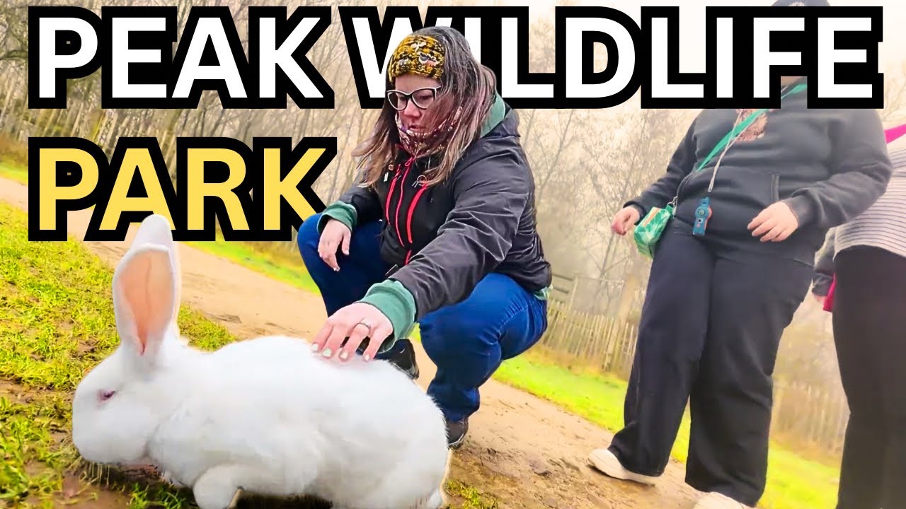 PEAK WILDLIFE PARK VLOG 2026