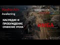 BDO Хасаншин Наследие и пробуждение (BDO hashashin)