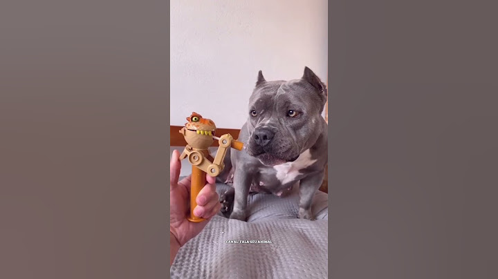 ANIMAIS ENGRAÇADOS  MEU CACHORRO COME TUDO CHECK #shorts #viral #humor