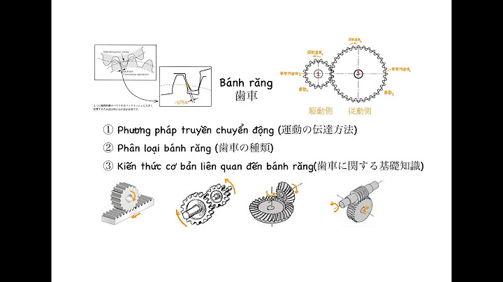 Module của bánh răng là gì năm 2024