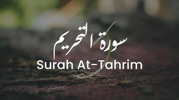 سورة التحريم للشيخ علي البراق | المصحف المرتل