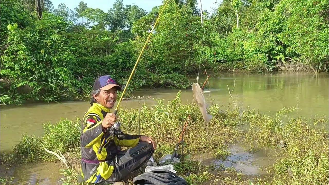 image.title image.title