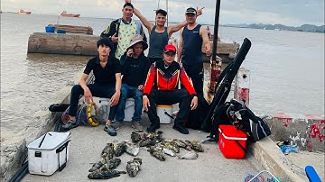 Ikada Cá tráp, Song, vược trên bè Vịnh Lan Hạ- Cát Bà