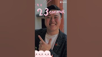 Thứ khiến nhiều người chơi Mini World tò mò #miniworld #miniworldvatoi #miniworldvn #rackakito