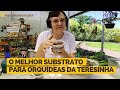 Qual o melhor tipo de substrato para as orquídeas